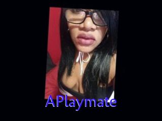 APlaymate