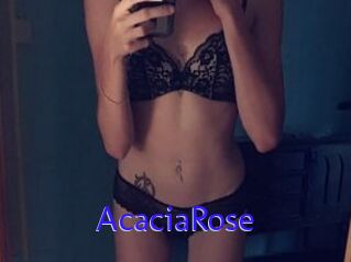 AcaciaRose