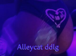 Alleycat_ddlg