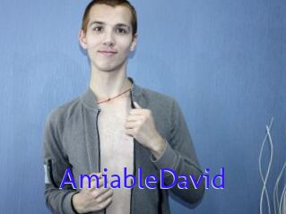 AmiableDavid