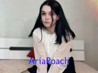 AriaRoach