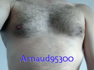 Arnaud95300