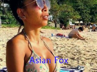 Asian_Fox