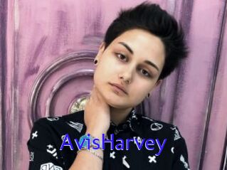 AvisHarvey