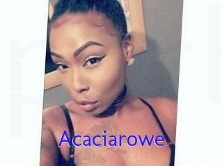 Acacia_rowe