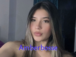 Amberbosse