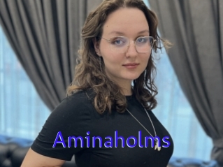 Aminaholms