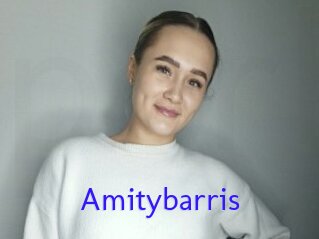 Amitybarris