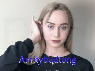 Amitybudlong