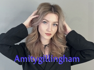 Amitygillingham