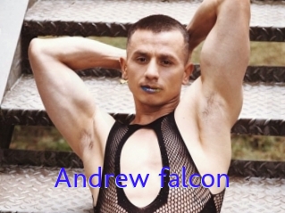 Andrew_falcon
