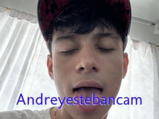 Andreyestebancam