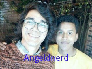 Angeldnerd