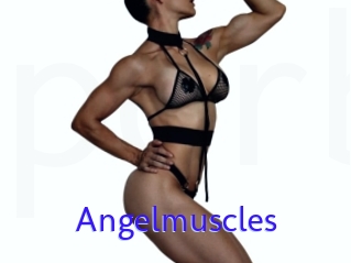 Angelmuscles