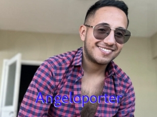 Angeloporter