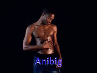 Anibig