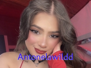 Antonelawildd