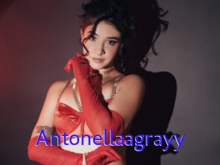 Antonellaagrayy