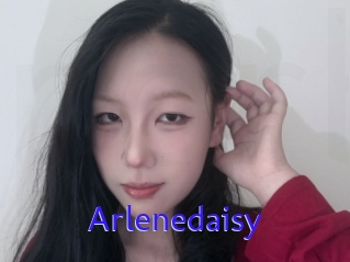 Arlenedaisy