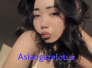 Asiangazelotus
