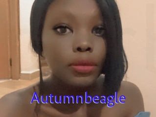 Autumnbeagle