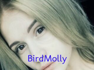 BirdMolly