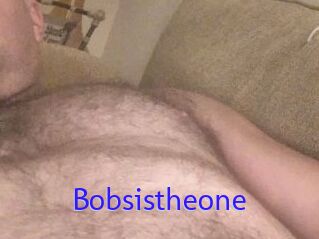 Bobsistheone
