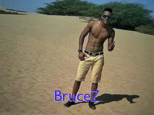 BruceZ