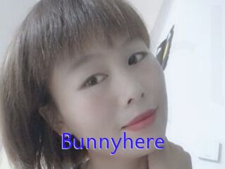 Bunnyhere