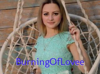 BurningOfLovee
