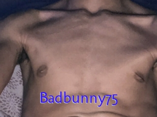 Badbunny75