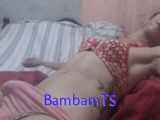 BambamTS