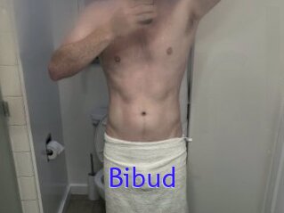 Bibud