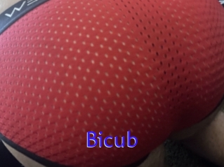 Bicub