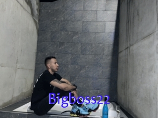 Bigboss22