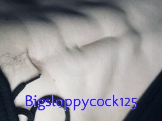 Bigsloppycock125