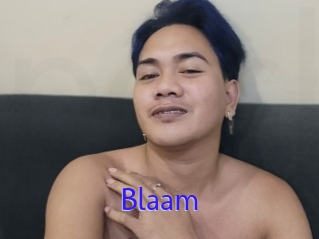 Blaam