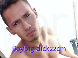 Boybig_dick22cm