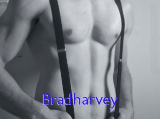 Bradharvey