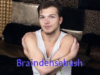 Braindensebush