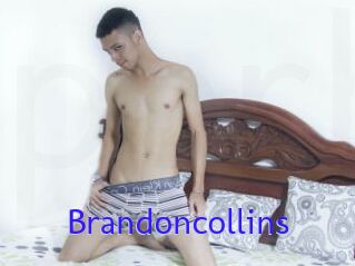 Brandoncollins