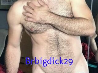 Brbigdick29