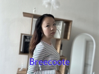 Breecoote