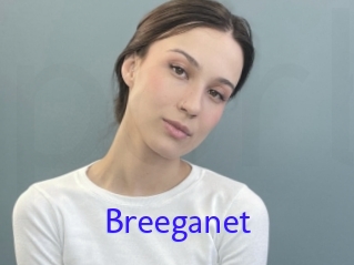 Breeganet