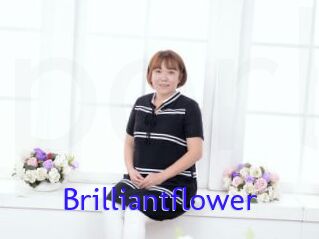Brilliantflower