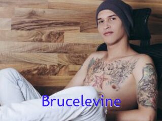 Brucelevine