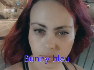 Bunny_bleu