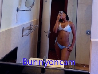 Bunnyoncam