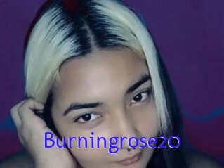 Burningrose20