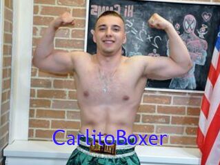CarlitoBoxer